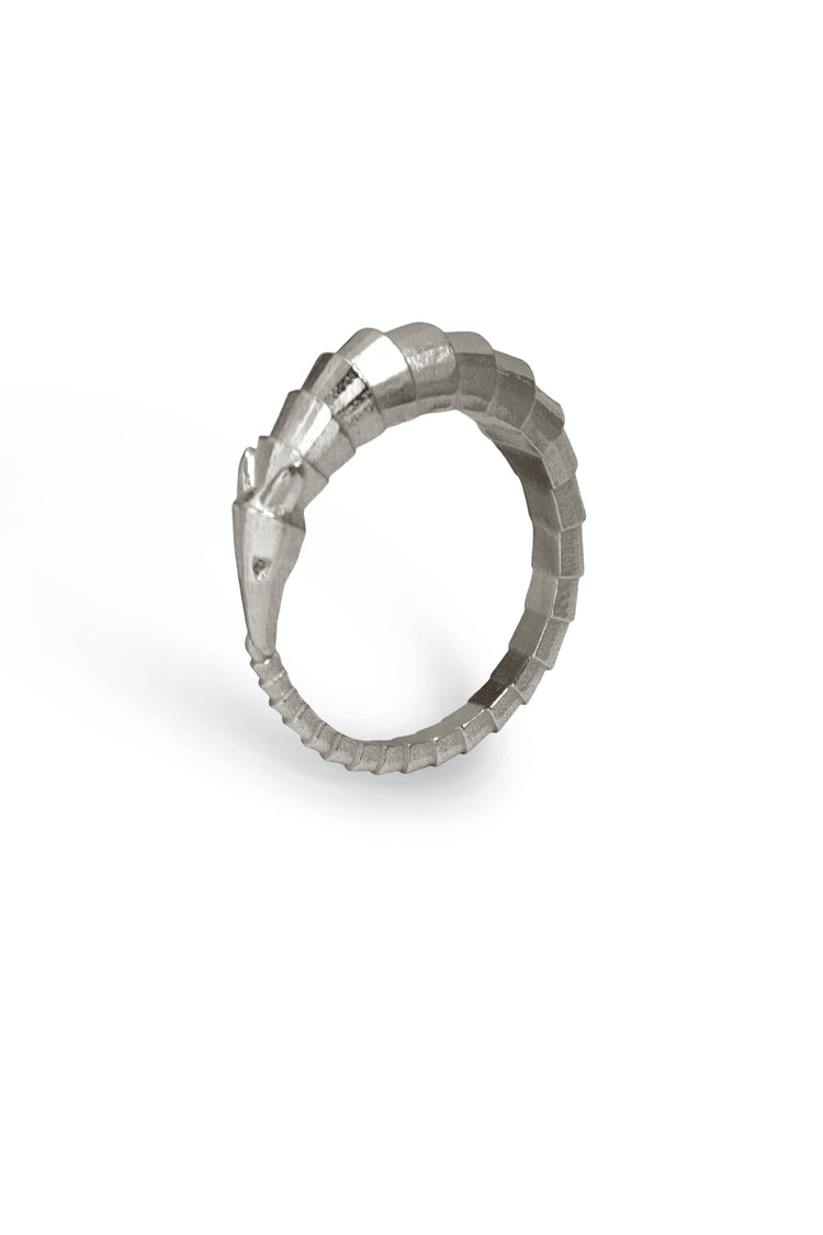 TS Solid Silver Ring Gürteltier