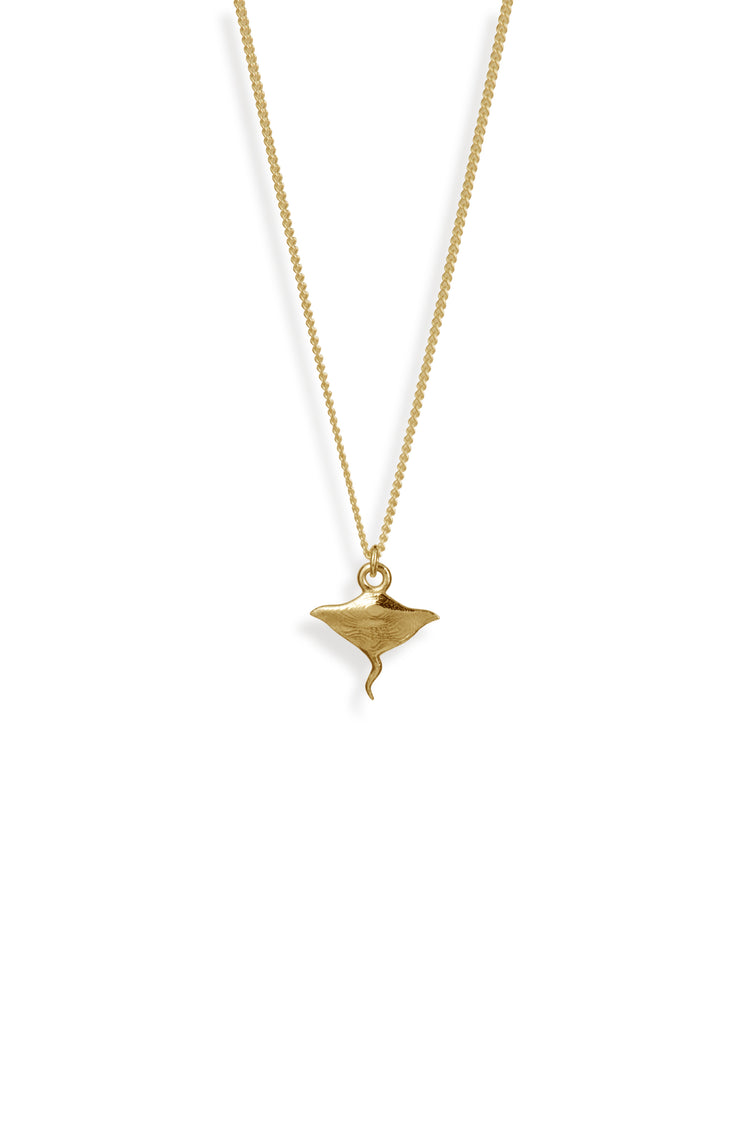 TS Solid Silver Kette Rochen