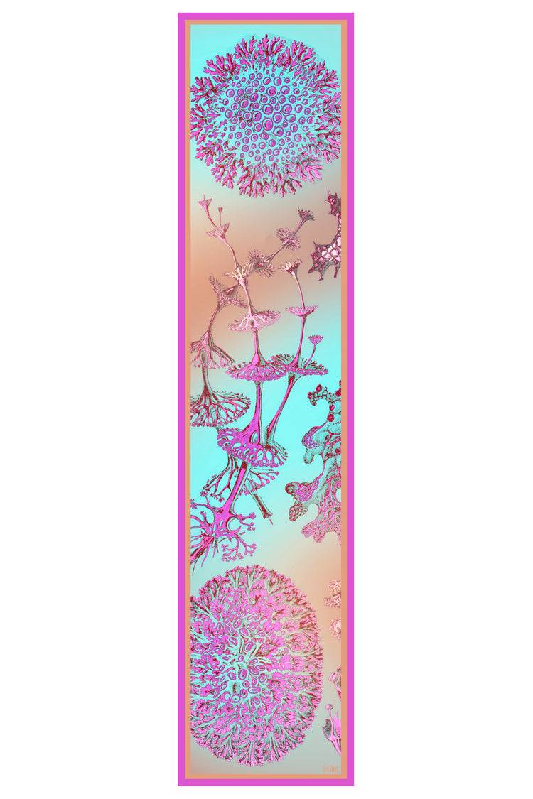 Schal Haeckel Rainbow