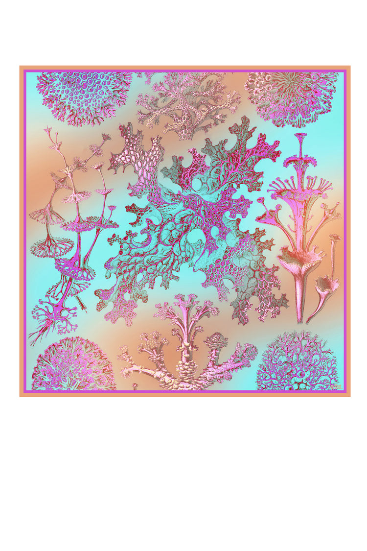 Tuch Haeckel Rainbow