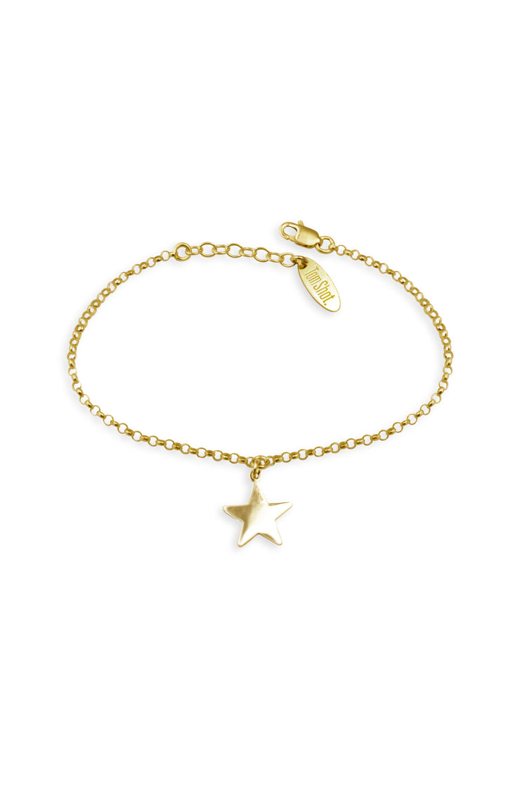 TS Solid Silver Armband großer Stern