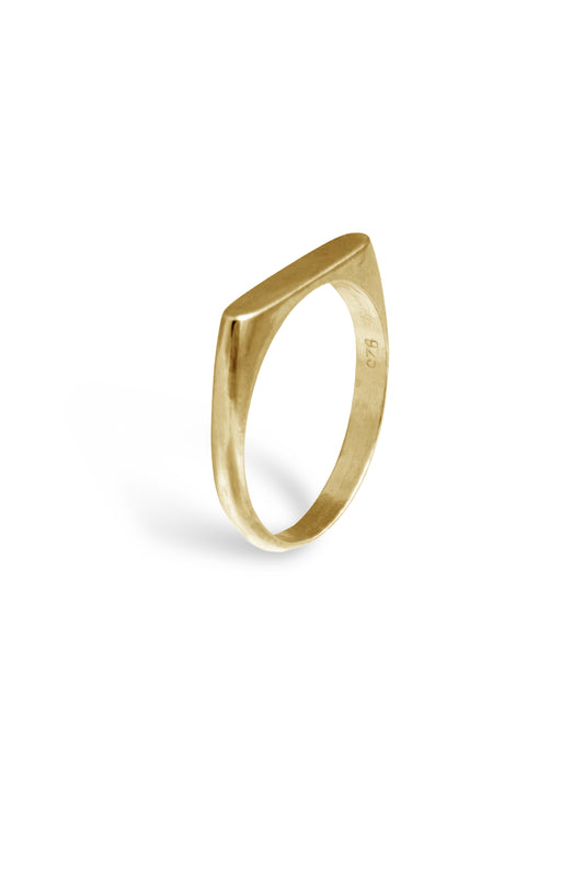 TS Solid Silver Ring Signet schmal