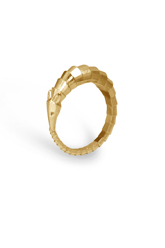 TS Solid Silver Ring Gürteltier