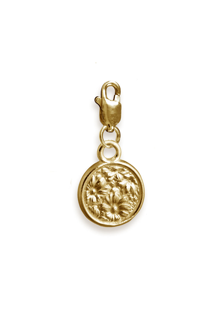 TS Solid Silver Charm Münze